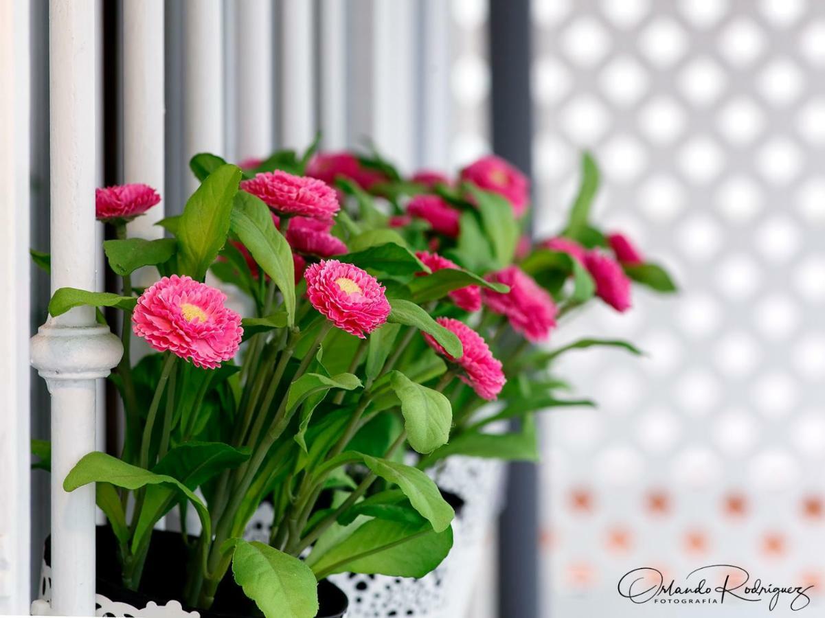 Appartamento Beauty Attic Terrace Old Town - Vegueta Las Palmas de Gran Canaria Esterno foto